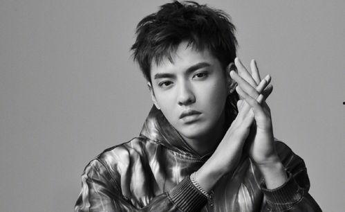 娱乐圈吃瓜好看男明星,盘点那些好看又好玩的男明星